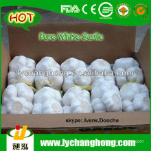 chinese pure white garlic for united kingdom market